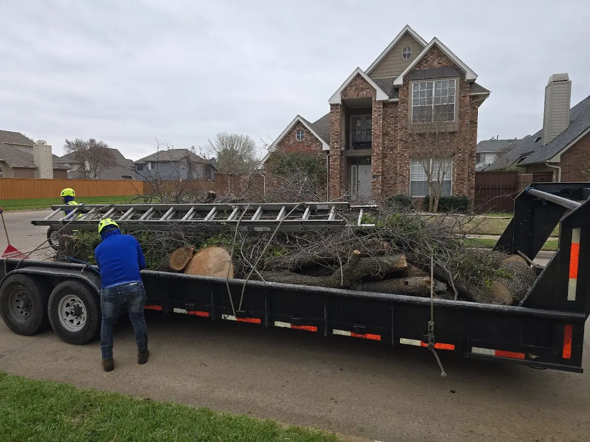 Expert Tree Fertilization with proper safety equipment in Fort Covington